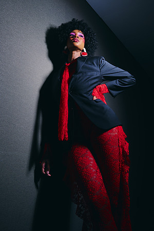 Vices of Vixen4189