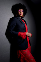 Vices of Vixen4184 1