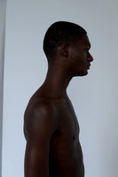 Warrior Casting Digitals10331