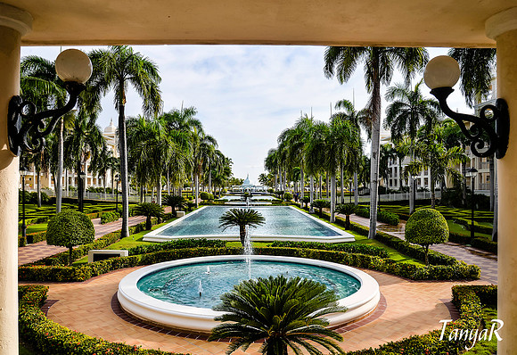 The Courtyard II