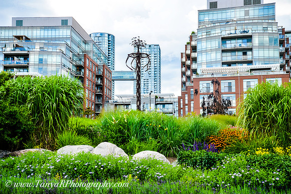 Toronto Sculpture Garden