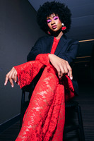 Vices of Vixen4234 2