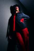 Vices of Vixen4189