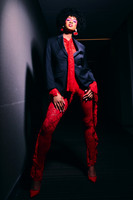Vices of Vixen4211