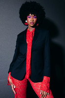 Vices of Vixen4217