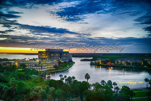 Sunsets Over Tampa Bay