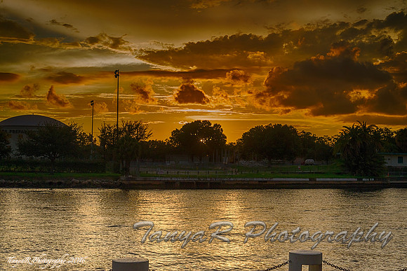 Fire in the Sky