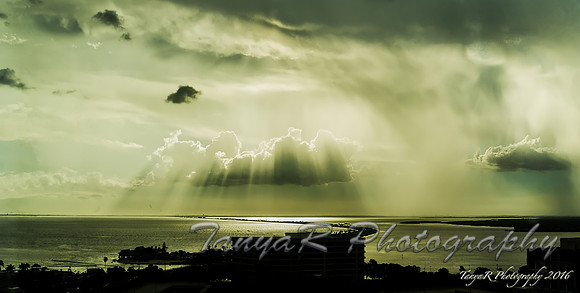 Summer Rain